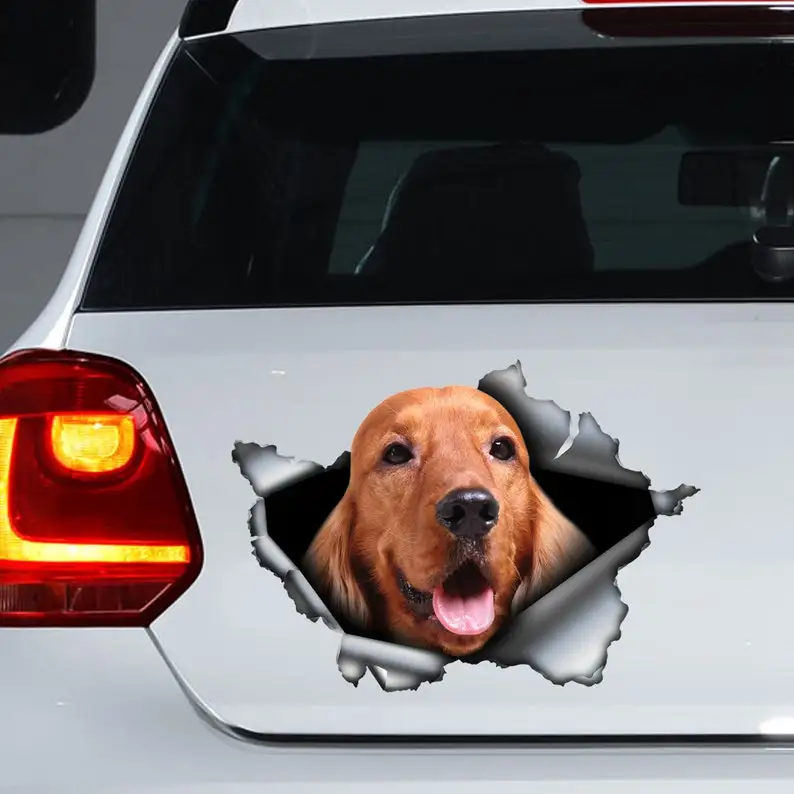

Ginger english cocker spaniel car decal, cocker spaniel magnet, spaniel sticker, spaniel decal