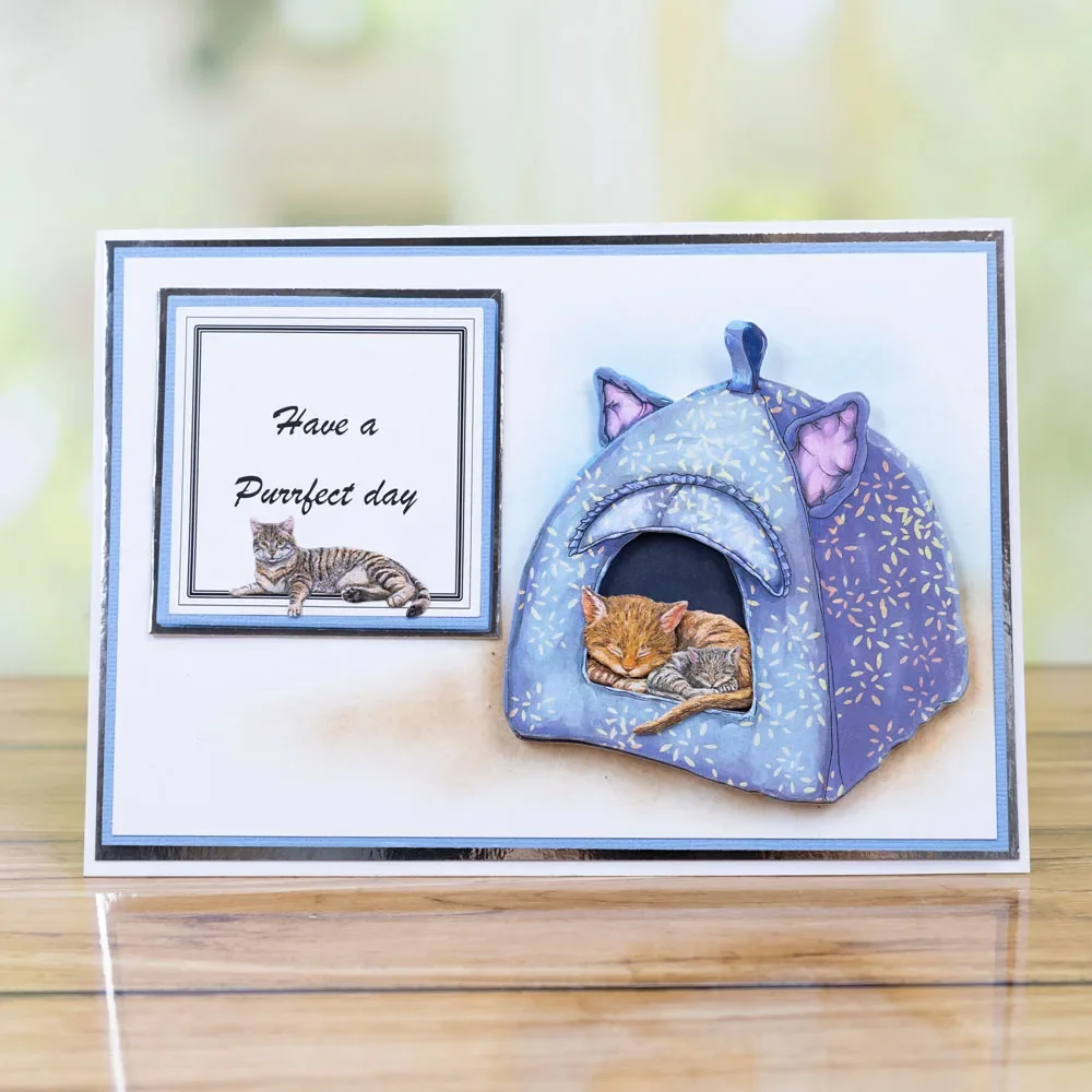 Носки Feline Cozy Cave Fine Gathering новинка 2024 металлические штампы сделай сам скрапбукинг