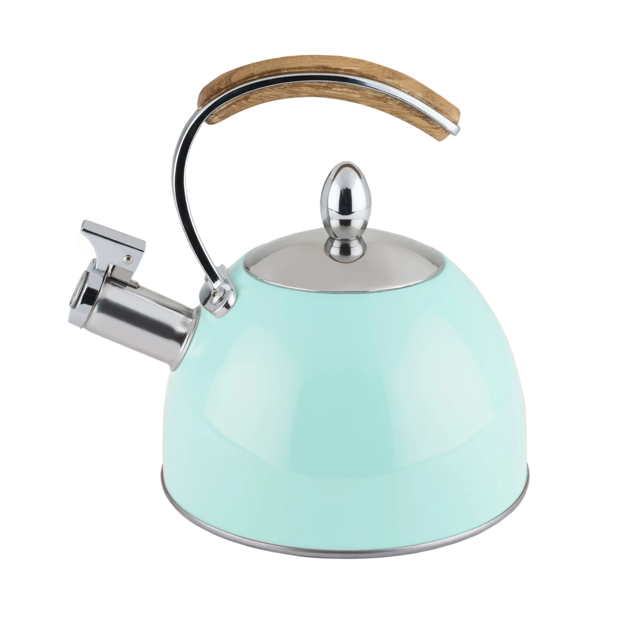 

Presley Light Blue Tea Stainless Steel Whistling Kettle for Induction