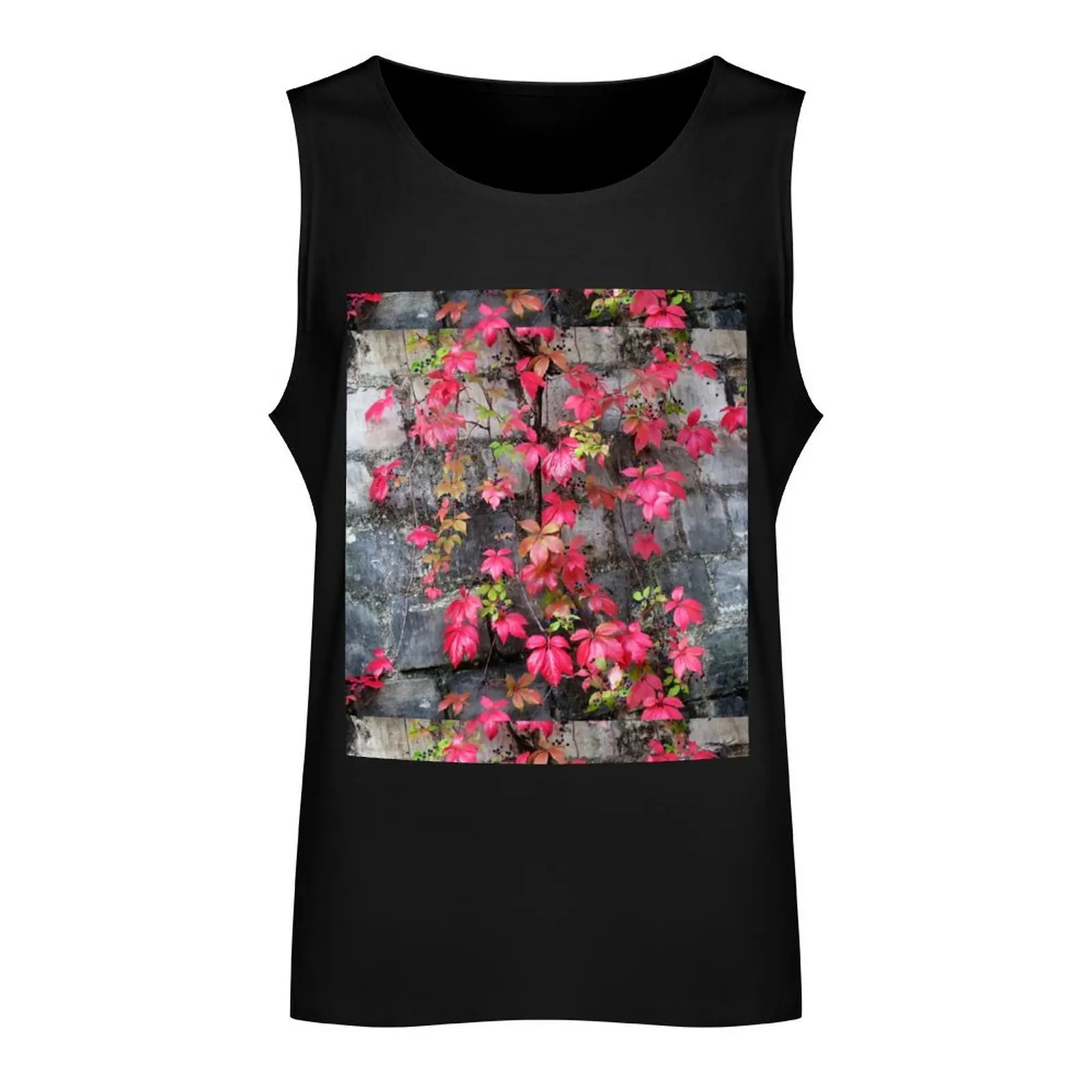 Paris Pere LaChaise Fall Leaves Майка для спортзала Мужской жилет Мужская спортивная футболка