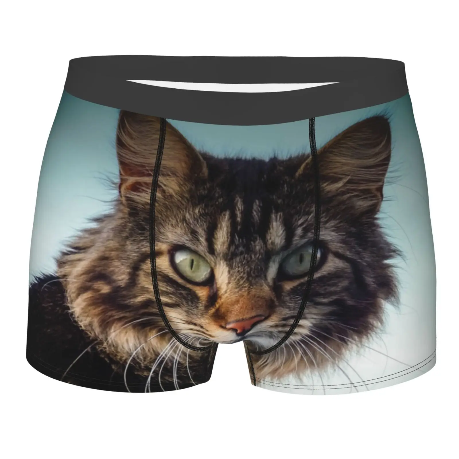

Maine Coon 1082 Men's Panties White Sport For Men Underpants Underwear Men Man Boxer Sexy Hombre Underpants Men If U Dare Ware