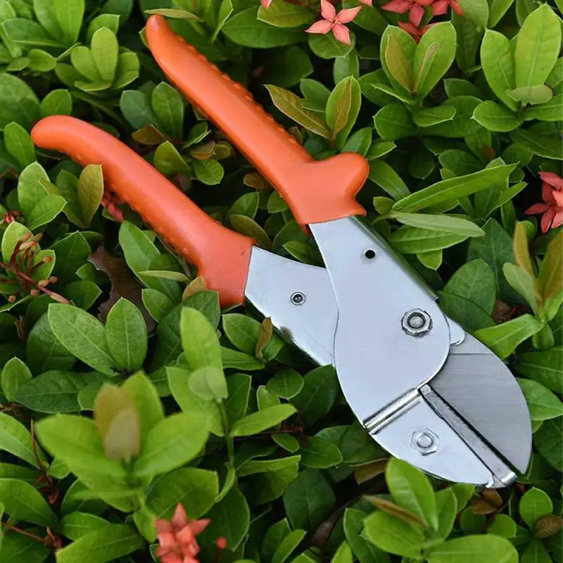 

Gardening Scissors Large Cutting Bonsai Steel Trim And Neat Comfortable Household Products Powerful Scissors Orange Scissors