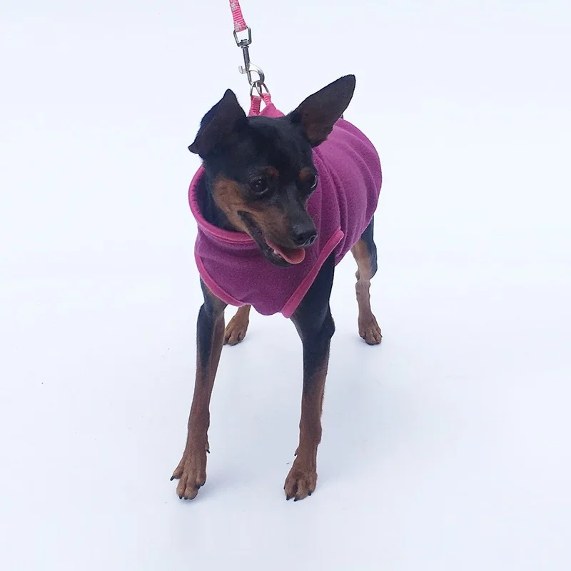 

Luxury Pet Dog Clothes Light Fleece Sweater Warm Thickened Open Button Small Medium Dog Clothes Teddy Yorkshire Dachshund Jacket