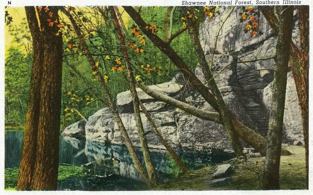 Китайский лес ил живописный Южный ретро металлический знак оловянный винтажный