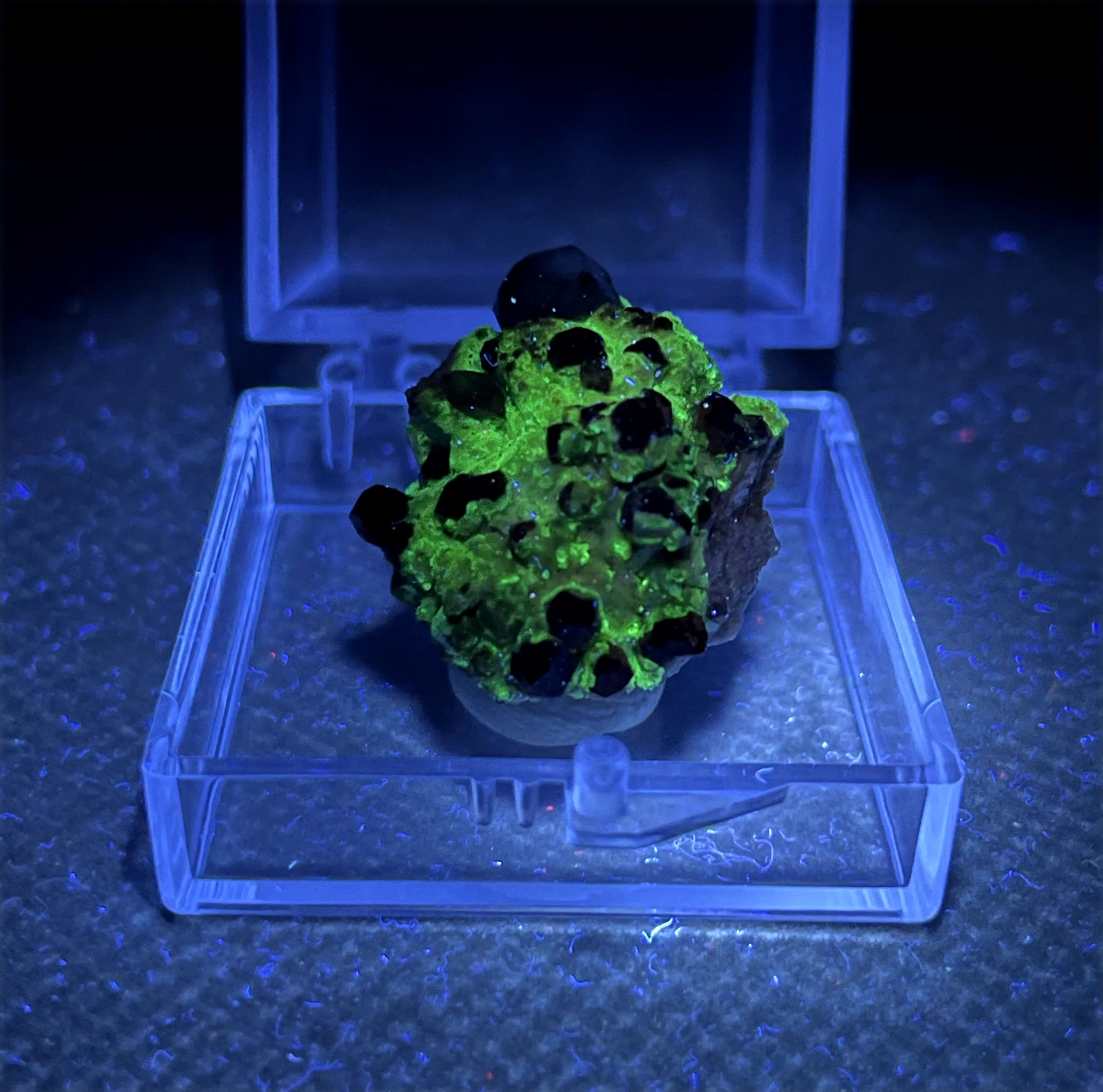

NEW! 100% natural green florescent Hyalite and garnet symbiosis mineral specimen stones and crystals + box size 3.4cm