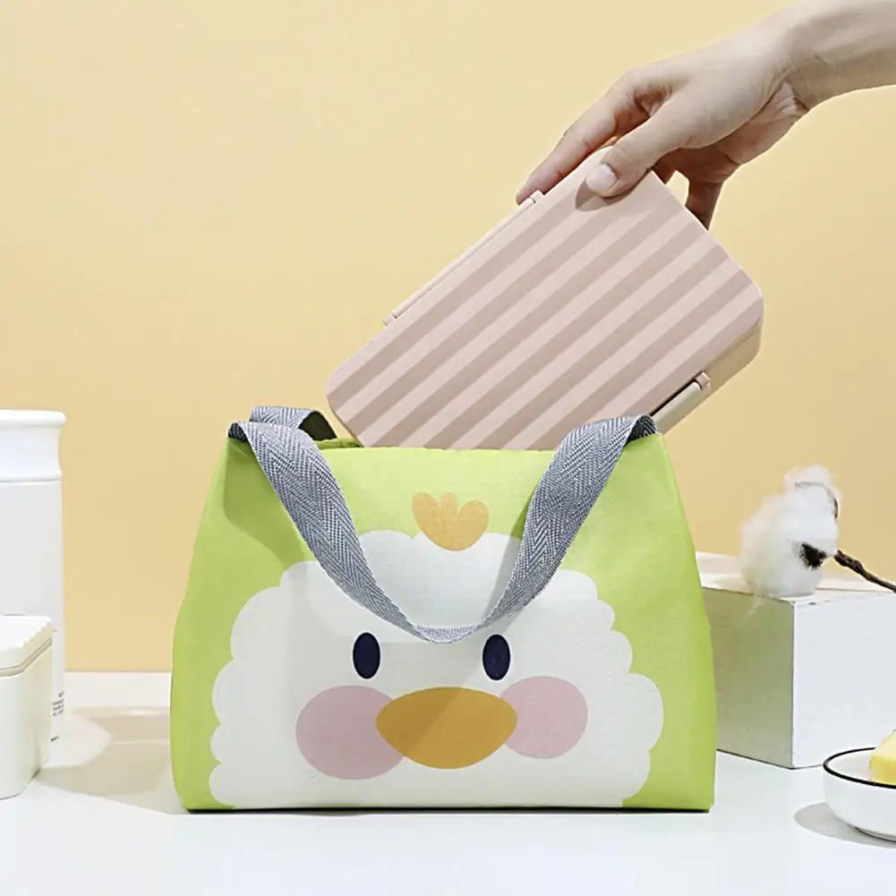 Lunch Bag High Capacity Waterproof Insulated Cartoon Pattern Smooth Zipper Fine Sewing Leakproof Thermal Bento Tote for Picnic