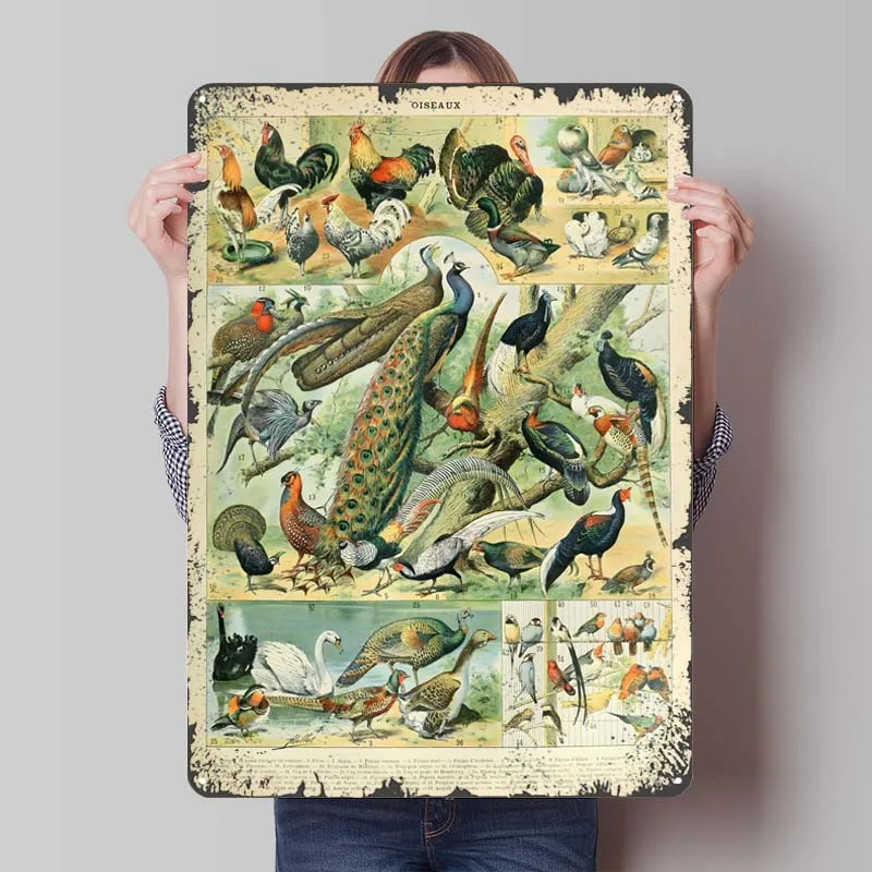 Птицы Адльфе Мильот жестяная вывеска Чертежи Плакат Человек Пещера