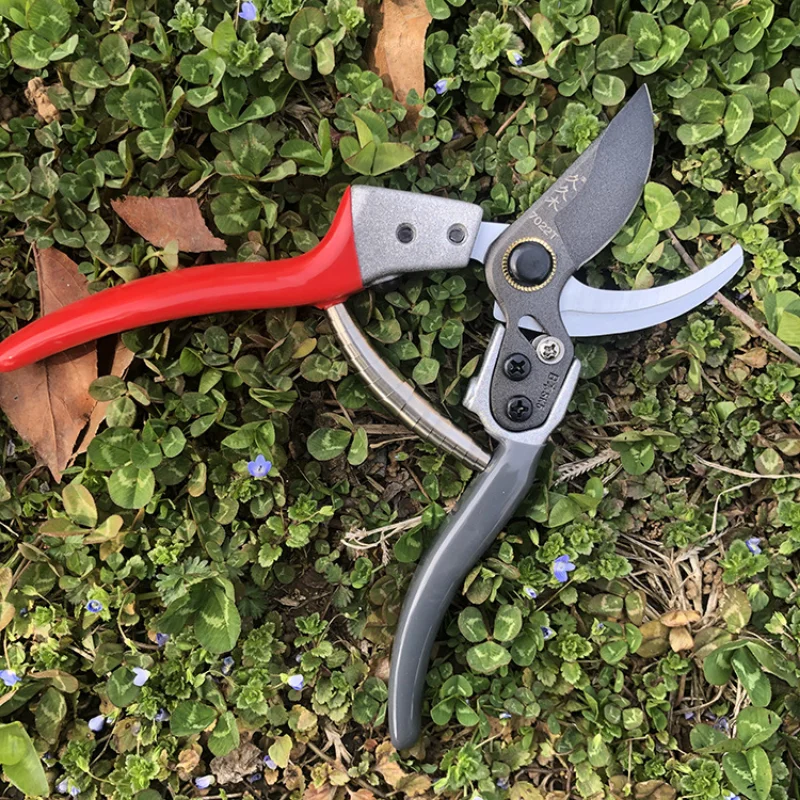 

Bonsai Fruit Branches Pruner Garden Horticulture Secateurs Pruner Garden Scissors Professional for Tree Flowers