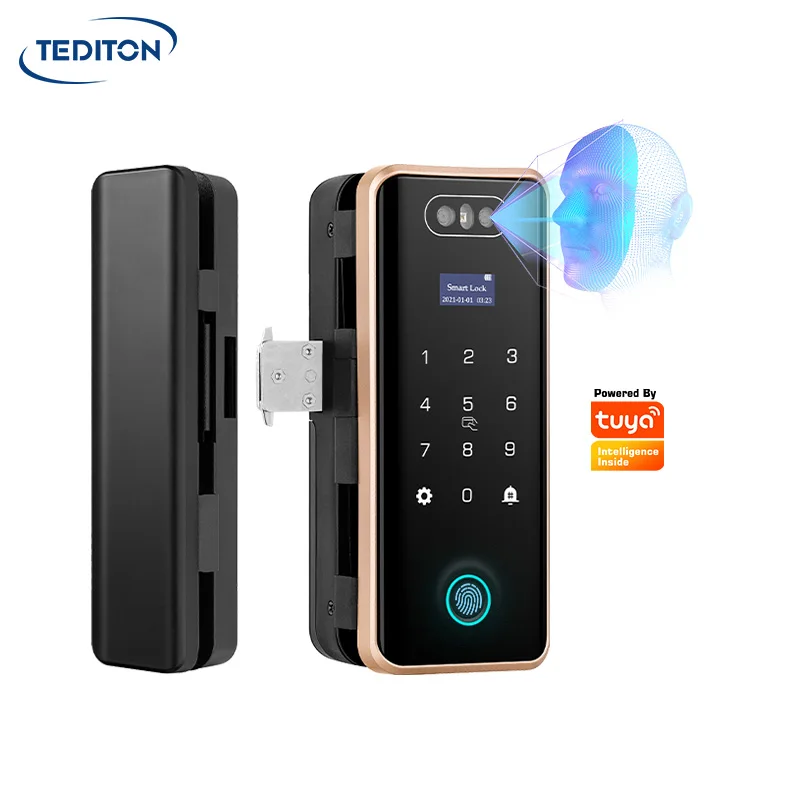 Tediton Anti-theft 3D Face Id Intelligent Glass Door Lock Smart Home APP Face Recognition Door Lock
