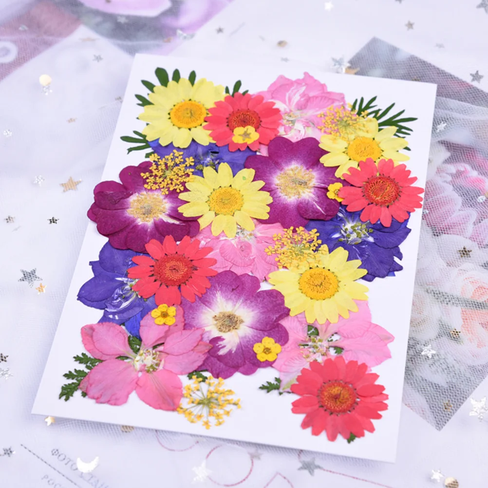 

Flowers Driedflower Natural Preserved Dry Arrangements Artificial Table Bouquets Wedding Decoration Bouquet Nailsnail Floral