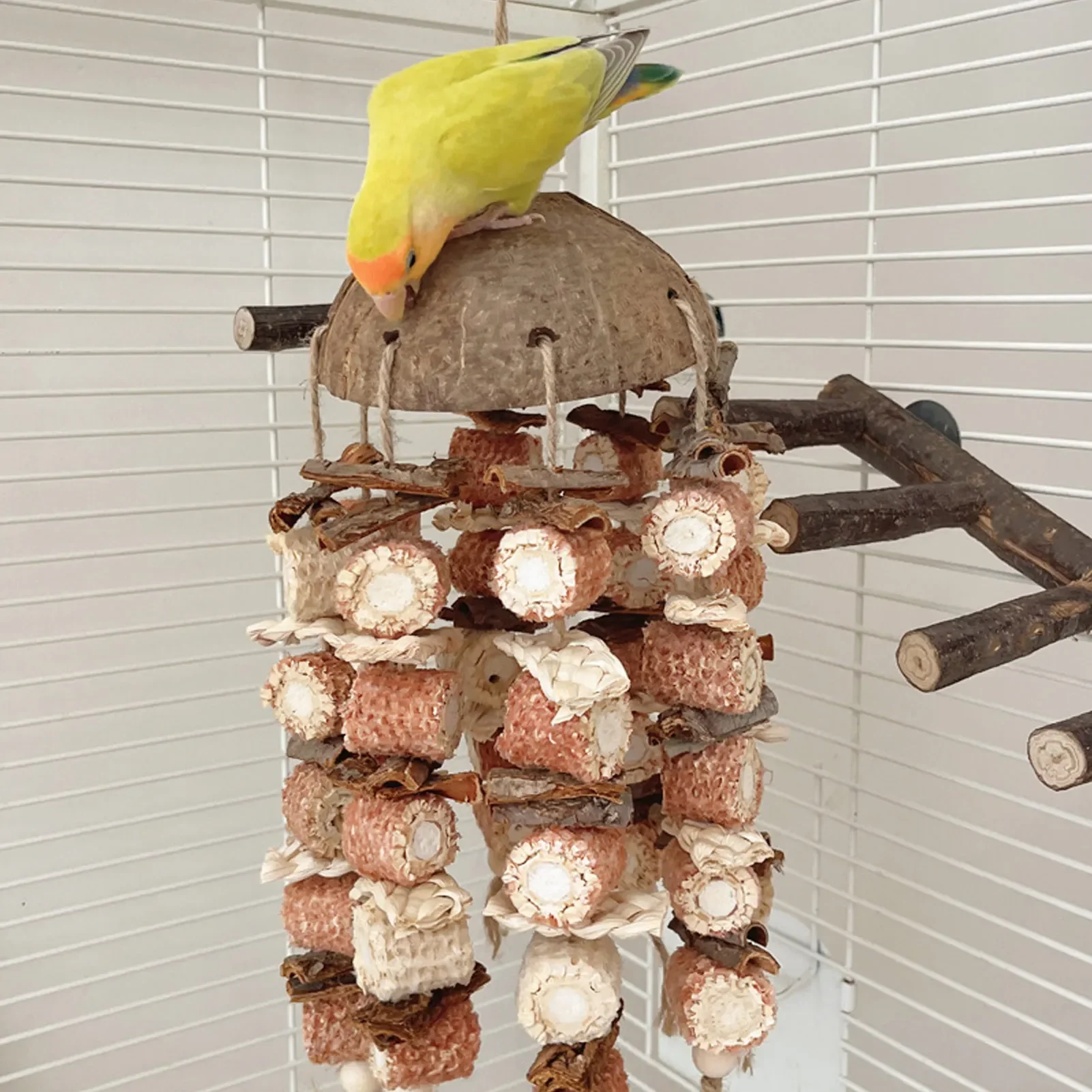 Жевательная игрушка из скорлупы кокоса птицы кукурузный початок кукурузные