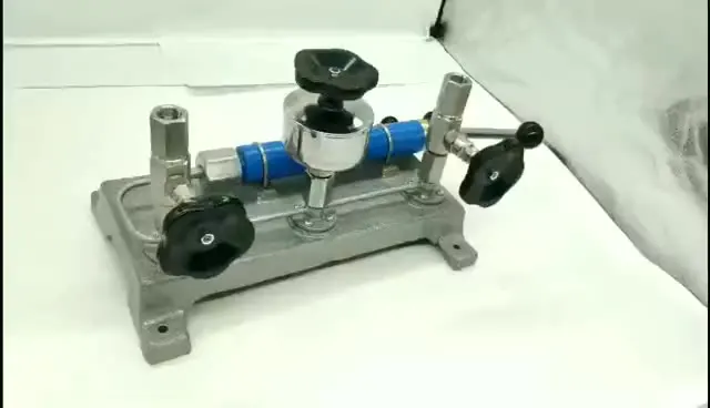 

Provides 0~ 600Bar portable pressure gauge calibrator