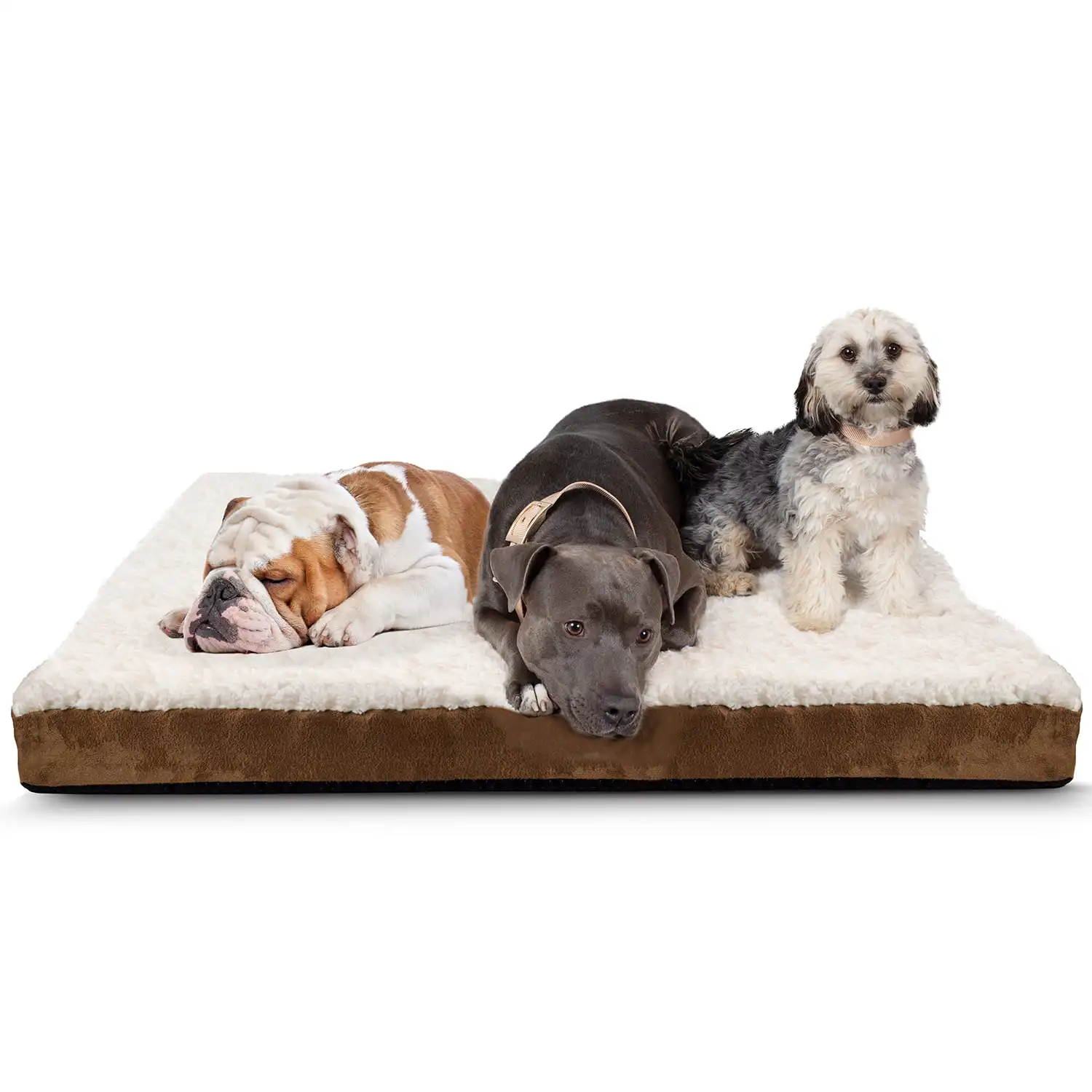 

Orthopedic Pet Bed Foam-Mattress Dogs and Cats (Medium 30 Long x 20 Wide)