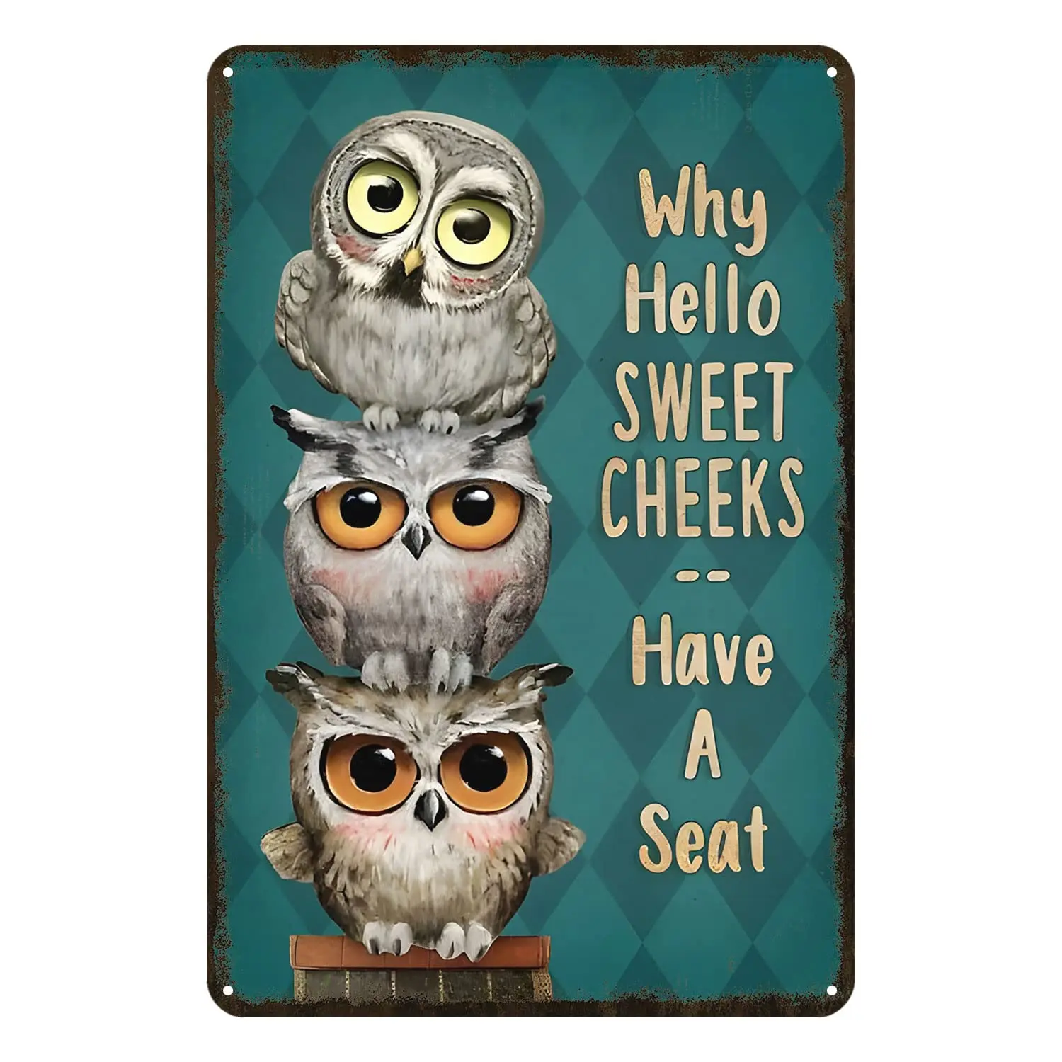 

Ascigo Vintage Metal Wall Decor Funny Metal Sign Why Hello Sweet Cheeks Three Owls Owl Tin Sign Chic Art Wall Metal Decorations