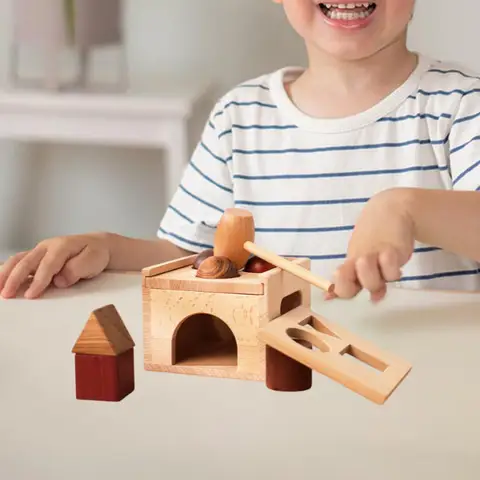 Деревянные игрушки для стукания Perfeclan