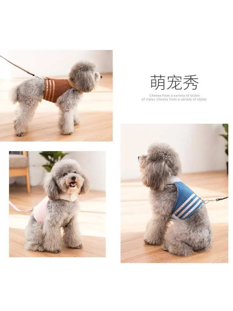 Жилет для маленьких собак Тяговая веревка подходит прогулок с кошками комплект