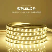 Bright LED light with living room ceiling decoration double row waterproof warm light strip dark groove white blue 220 V