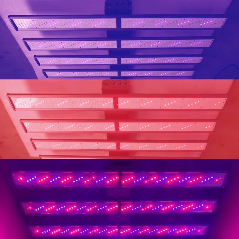 Светодиодная осветительная панель высокой эффективности 800 Вт/1000 Вт/1200 Вт Плюс