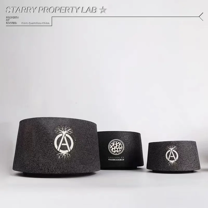 Японский Модный цветочный горшок ручной работы с корнем кактус Ebisu Xiao большая