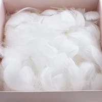 macaron color gift box filler romantic warm gift whole pack feather decoration can replace raffia