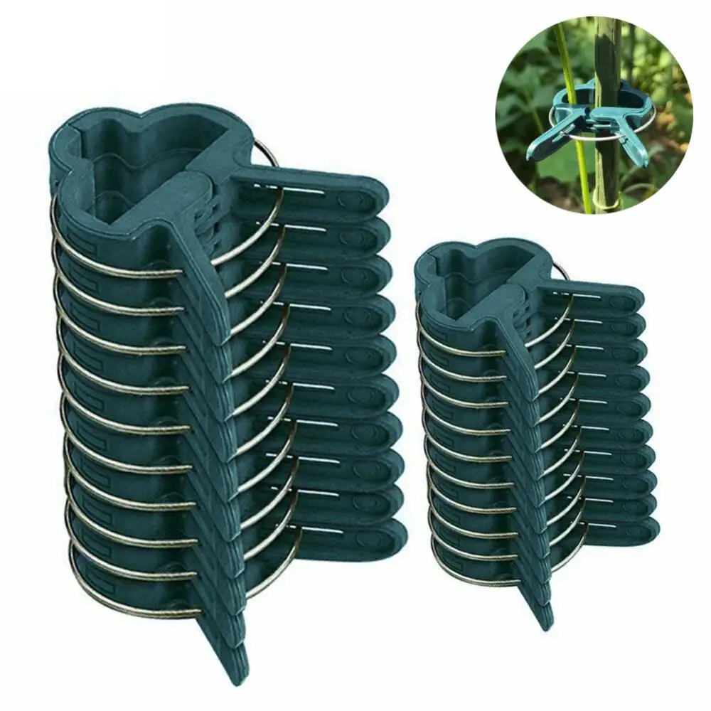 

2 Sizes Adjusting Plant Clips Garden Reusable Climbing Supports Fixing Stems Of Flower Vine Vegetables Bracket Tomatoes Fastener