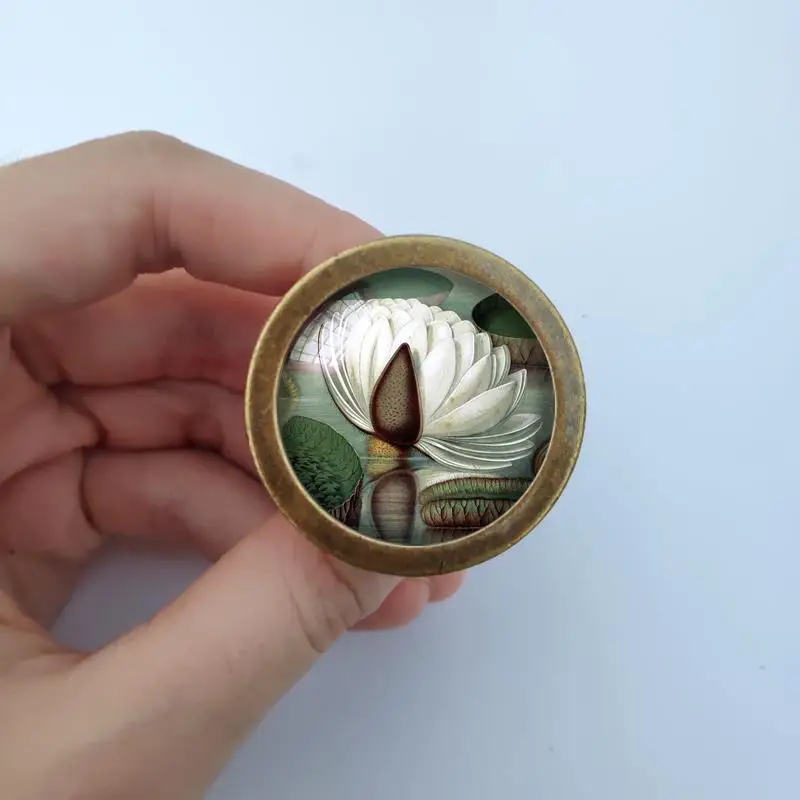 

Ручки для шкафа Victoria regia стеклянные