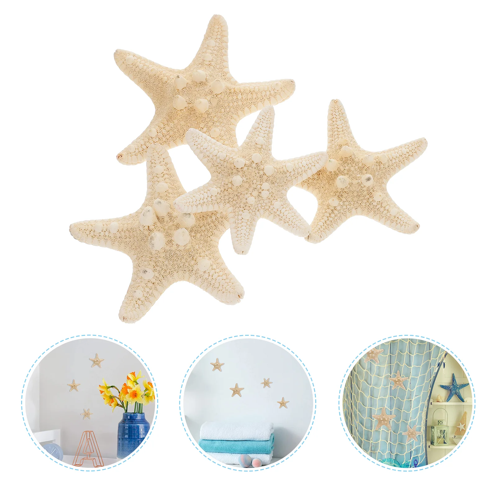 

Sea Stars Decor Natural Crafts Beach Ornament Star Shell Decoration Shells Seashell Wall Conch Ocean Mini Nautical Seashells Diy
