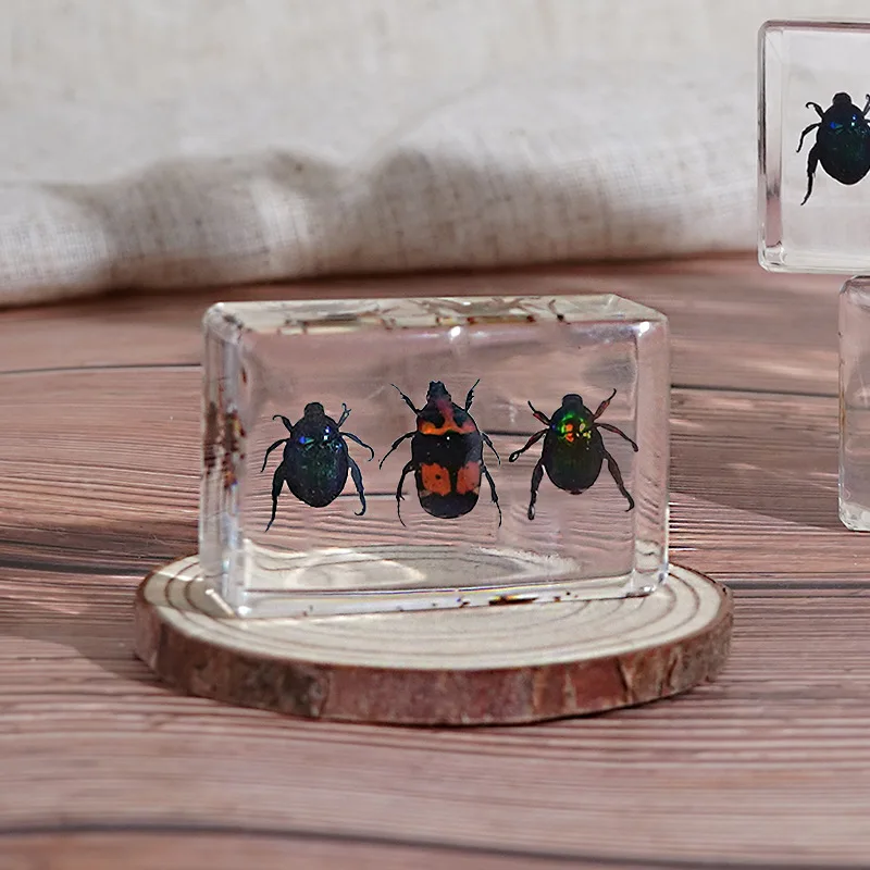 

Набор пауков и божьей коровки из полимера