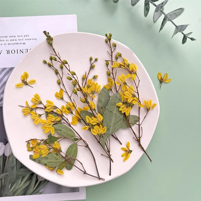 

Женский желтый цветок с листьями, гербарий для изготовления ювелирных изделий из эпоксидной смолы, закладка для поделок, веер для макияжа