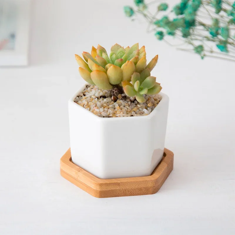 Минималистичный белый креативный Настольный керамический цветочный горшок с