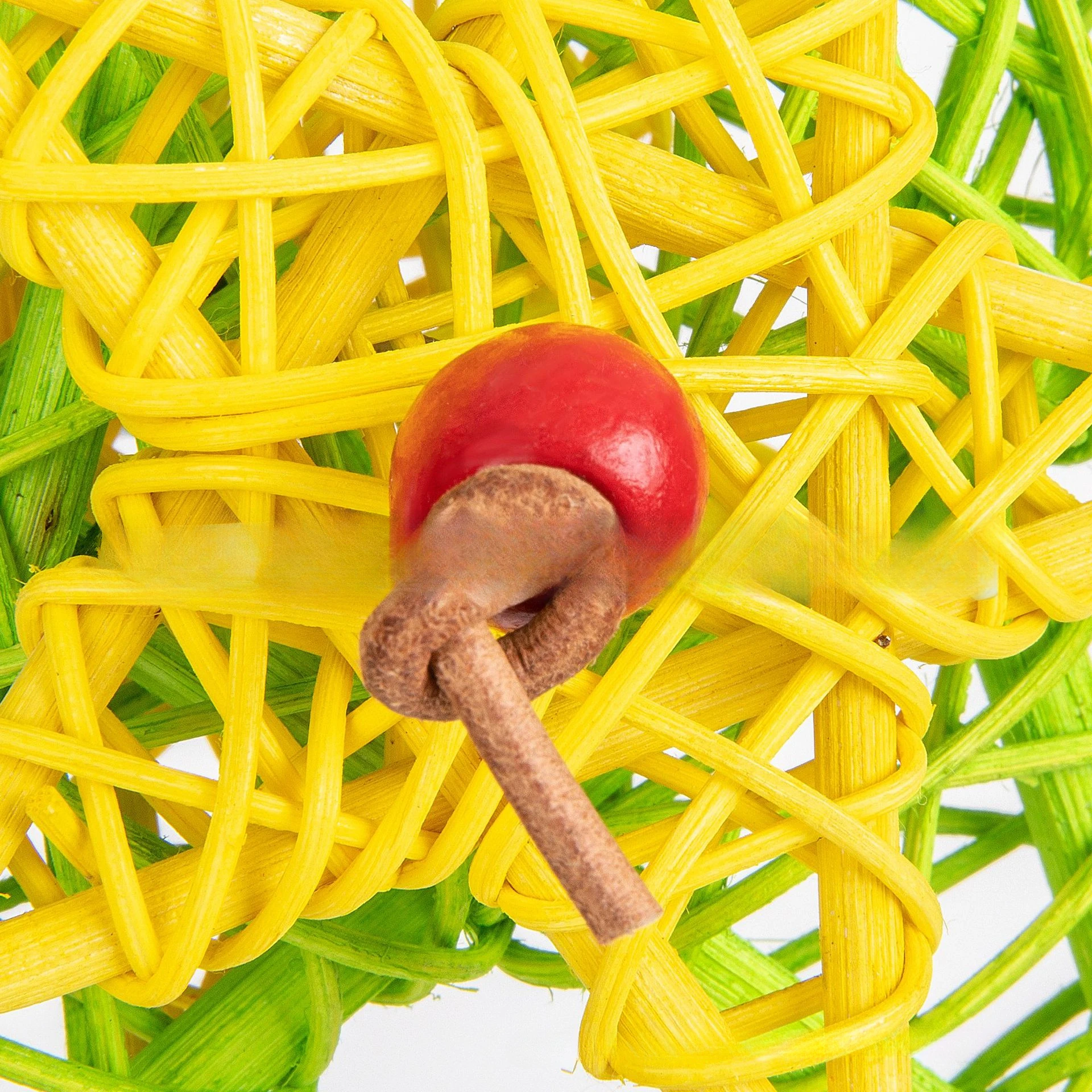 Parrot Chew Toy Pet Plaything Hanging Bird Molar Toys Large Birds Wooden Foraging Natural Cage Biting juguetes para pájaros