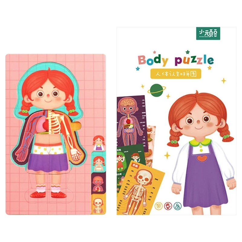 

Science Puzzle Toy Human Torso Organ Cognitive Board Toy Children Educational Teaching Toy Preschool Classroom Supply