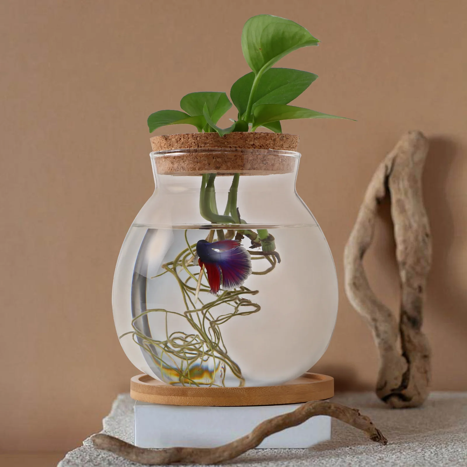 13*14 см) + бамбуковый коврик 1 шт. банка для растений террариум миниатюрный аквариум