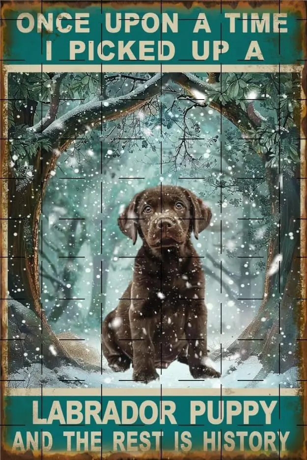 Once Upon Tme Pcked Up Lbrdor Puppy nd The Rest s Hstory Plque Pub Wll Blck Dog Decor Poster rt Ktchen Tn Metl Sgn Stcker