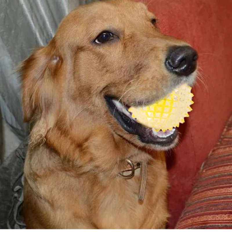 

Умная тренировка зубов, умная тренировка для облегчения одиночества, аксессуары для домашних животных