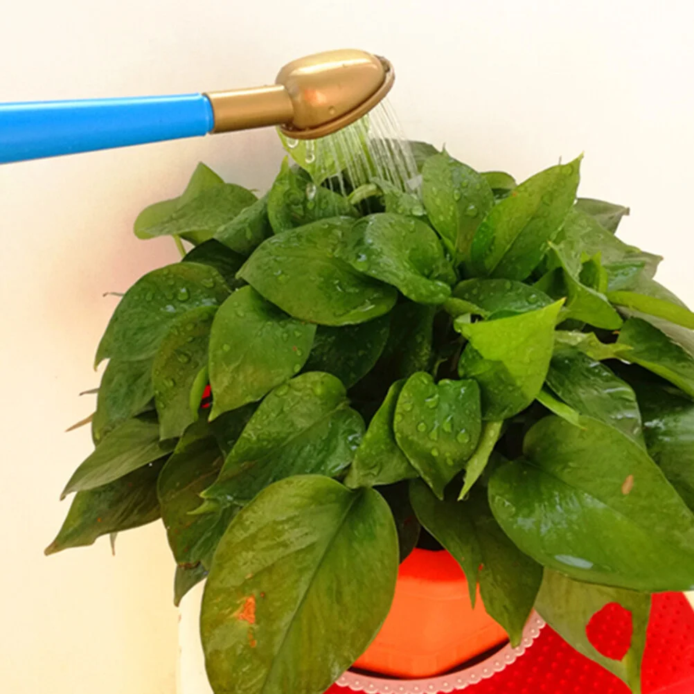 

Watering Can Outdoors Garden Pot Plastic Water Flower Spout Kettle Sprinkling Bottle Jug Pail Bottles Sprayers Gardening