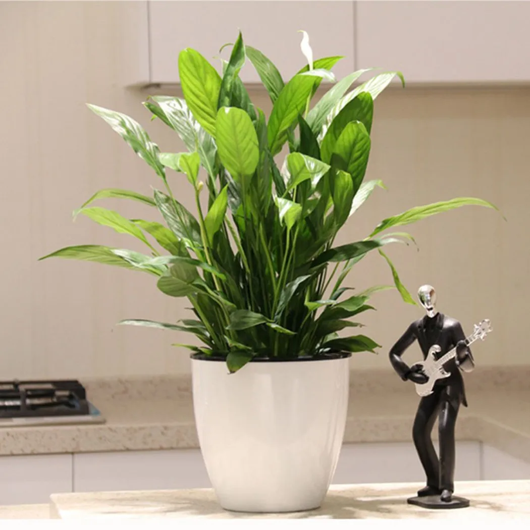 

1pcs Self Watering Flowerpot Lazy Flower Pot Flowerpot Imitation Porcelain Series Plastic Self Watering Pot Green Plant 11*11CM