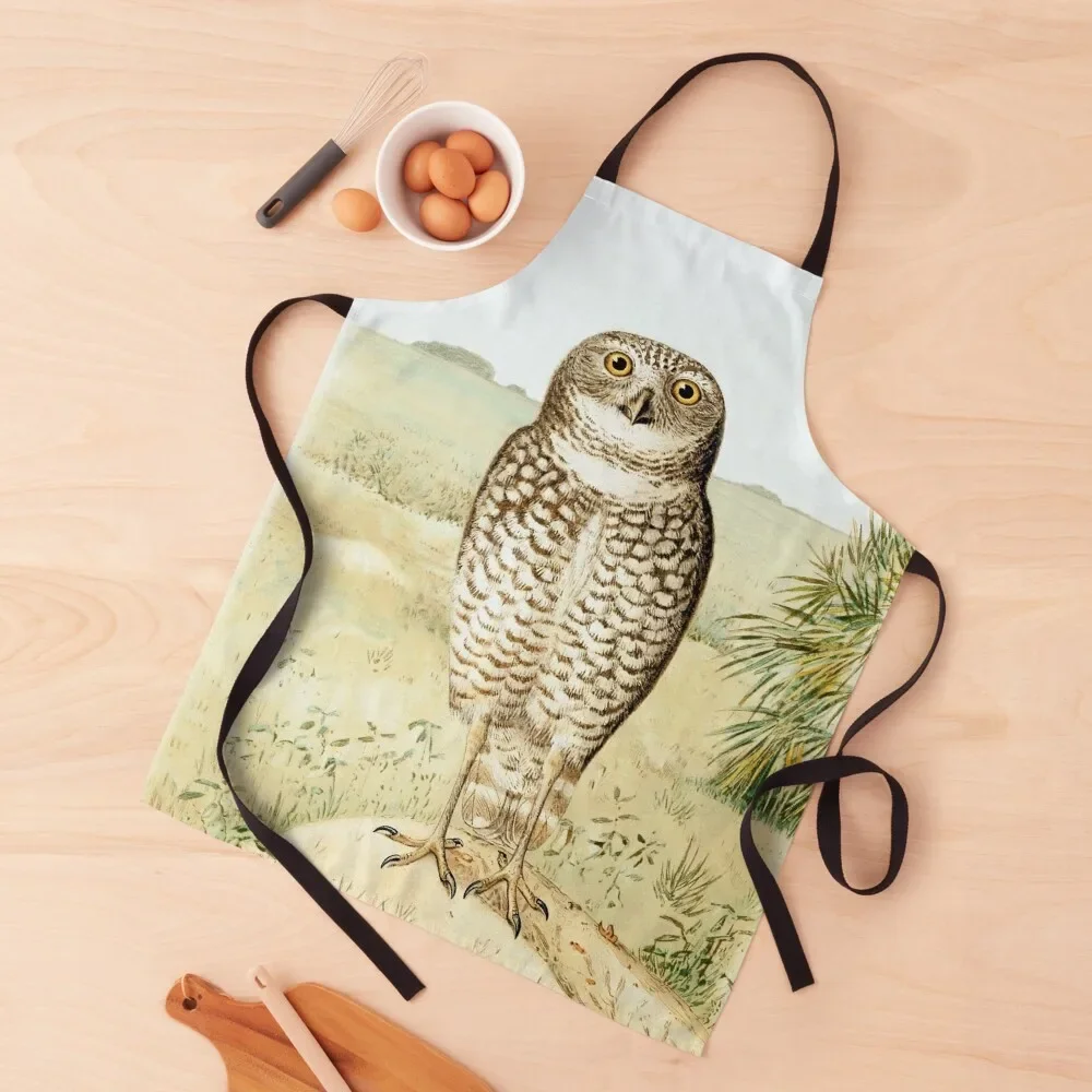 Кухонный Фартук Сова из верхушки Флориды 1884 кухонные принадлежности полезные