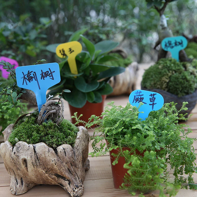 100Pcs Garden Labels Plant Classification Sorting Sign Tag Ticket Plastic Writing Plate Board Plug In Card