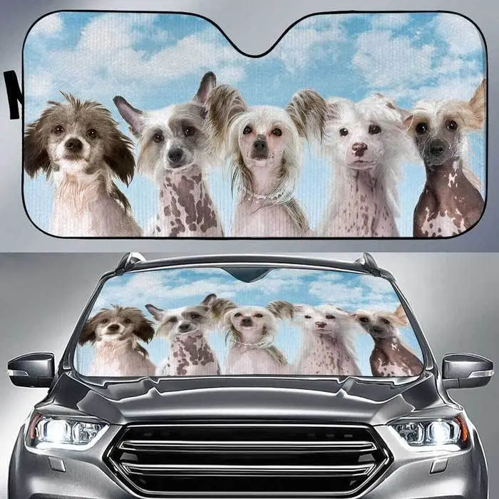 

Забавные китайские хохлатые собаки, солнцезащитный козырек с рисунком голубого неба для машины, милый китайский хохлатый козырек для собачьей команды