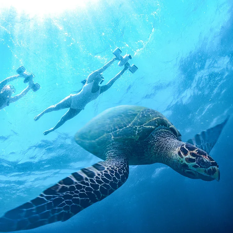 Распродажа Sublue WhiteShark MixPro подводный электрический морской скутер