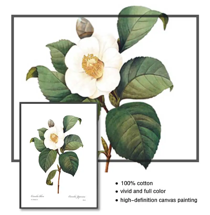 Постеры и принты розовых белых растений в цветочек ботаническая Картина на