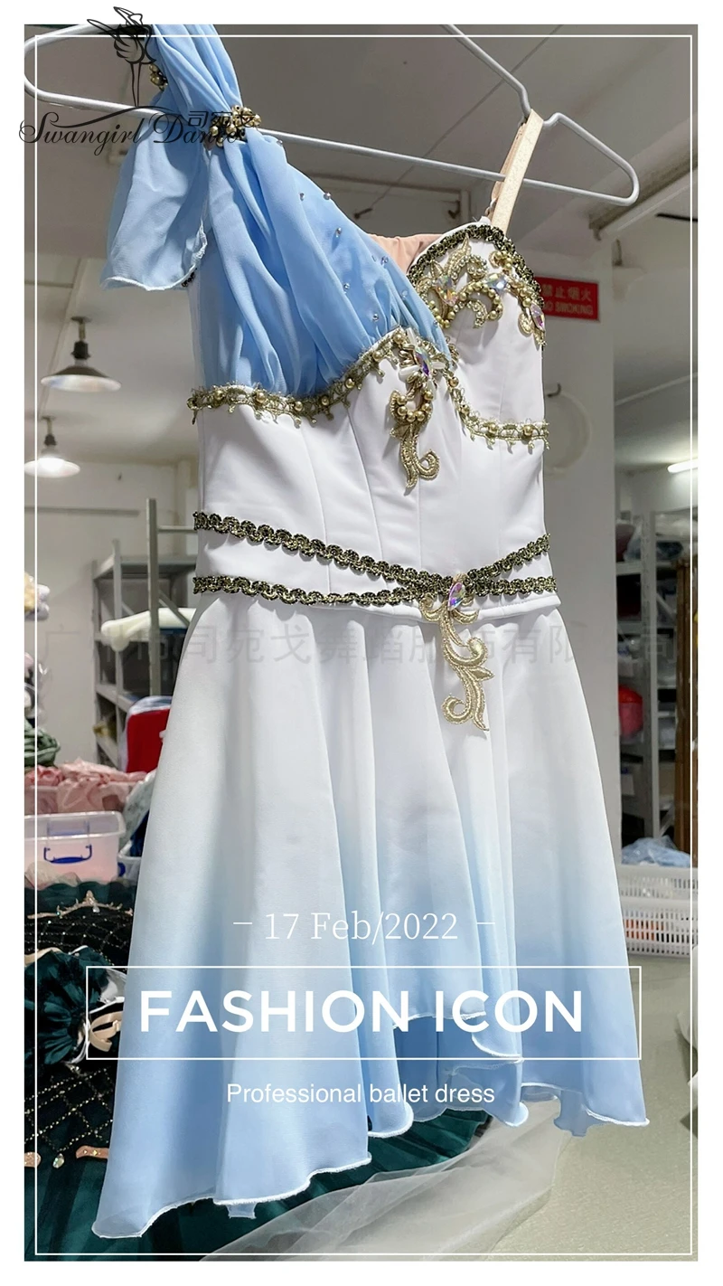 

Cupid Variation Pale Blue Chiffon Girl Ballet Tutu Dress Ballerina Costume Custom Made BT4154