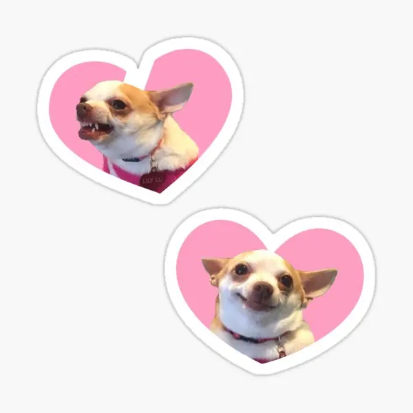 

Angry Chihuahua Happy Chihuahua Meme P 5PCS Stickers for Luggage Wall Background Water Bottles Bumper Decor Anime Car Cute