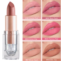 matte lipstick bean paste pink color lips makeup waterproof long lasting cosmetic moisturizer lip stick daily make up