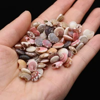 100g diy shell beads rainbow snails shell bead without hole for jewelry making diy necklace bracelet clothes accessory