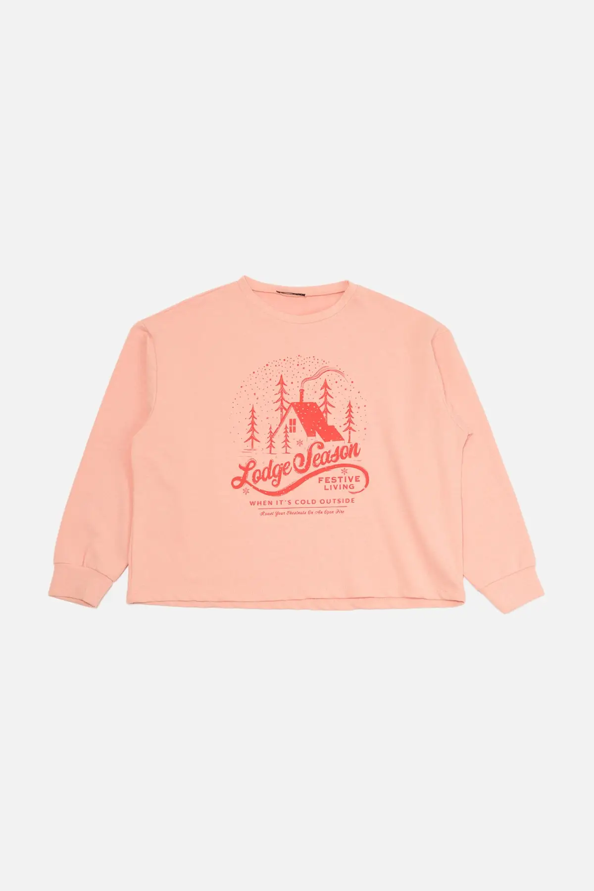 

Trendyol Oversize Printed Slim Knitting Sweatshirt TWOAW22SW1550