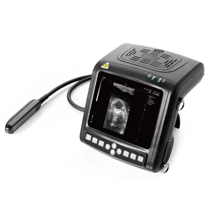 

portable KX5200 ultrasound price veterinario portatil ecografo ultrasonido machine