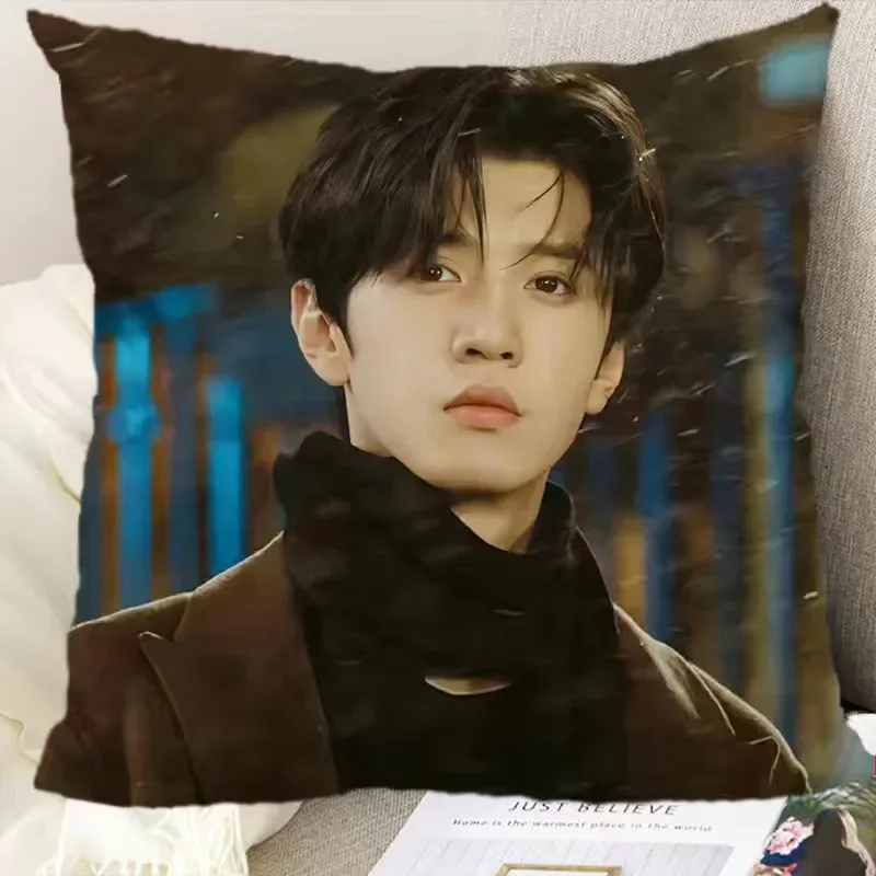 Zhao Lusi Chen Zheyuan HD Двусторонняя Наволочка С Принтом ТВ-драмы Hidden Love Duanshu Декоративная