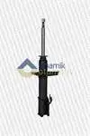 

PS9719315 for ten shock absorber right gas